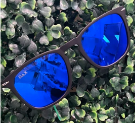 Ferris Blue Sunglasses