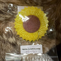 Black Raspberry Vanilla Car Freshie - Country Lace Boutique
