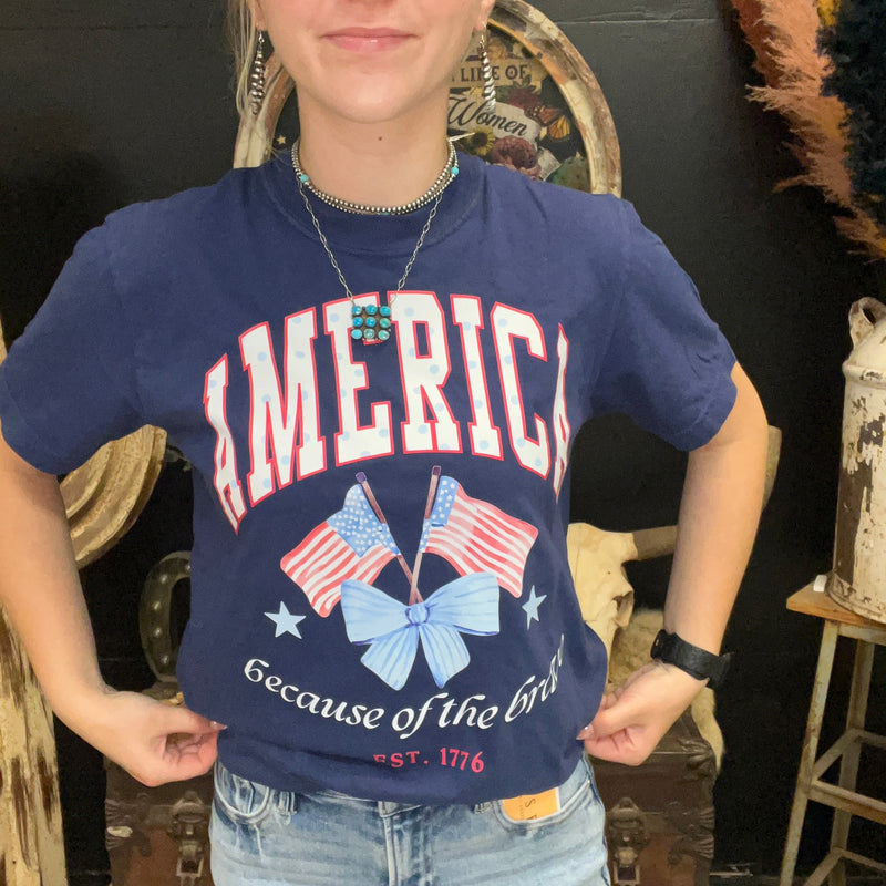 AMERICAN SPIRIT Because of the Brave Comfort color  T-shirt