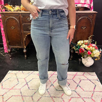 Distressed Knee Straight Daze Jeans / size 27