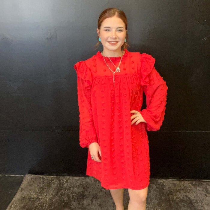 Red Swiss Dot long sleeve Dress / Medium