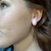 Pink Conch Oval Stud Post Genuine Earring