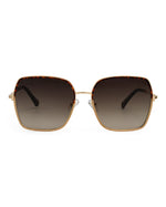 Aspen Brown Sunglasses