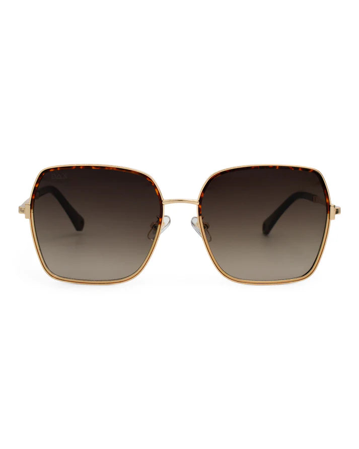 Aspen Brown Sunglasses