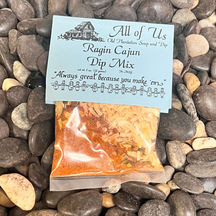 Ragin Cajun Dip Mix
