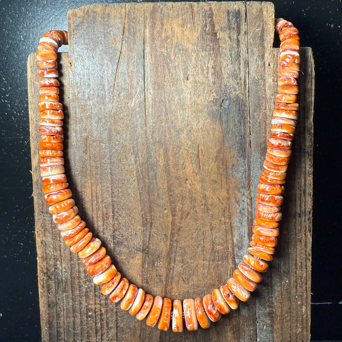 18 inch Chunky Orange Spiny with a 3 inch extender Sterling Silver Necklace