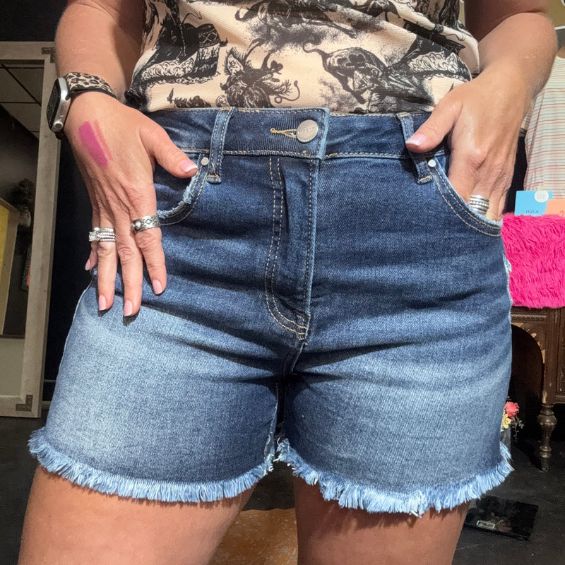 Risen High Rise Fray Bottom Dark Shorts