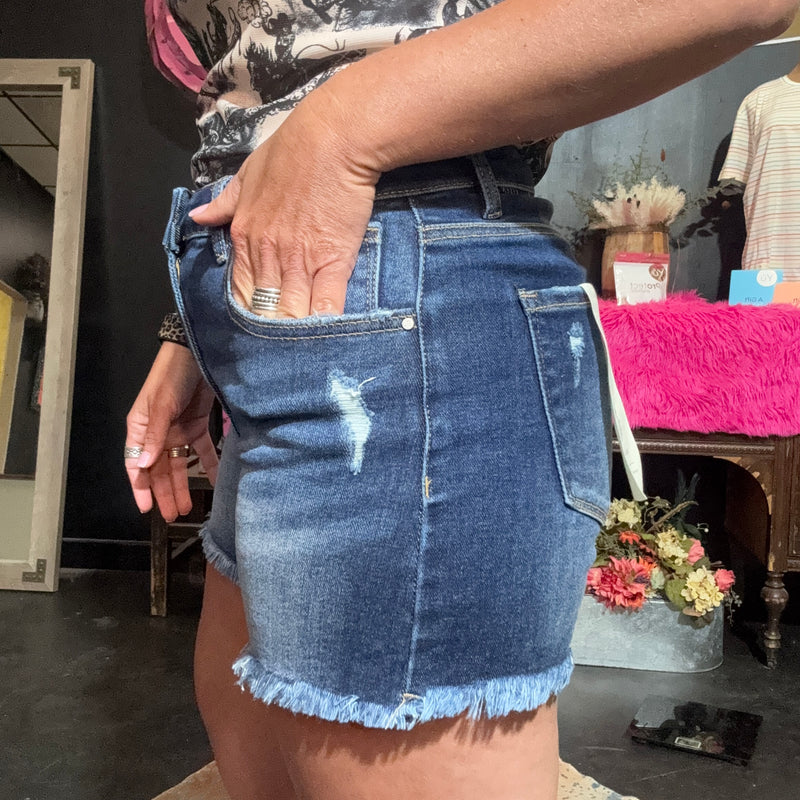 Risen High Rise Fray Bottom Dark Shorts