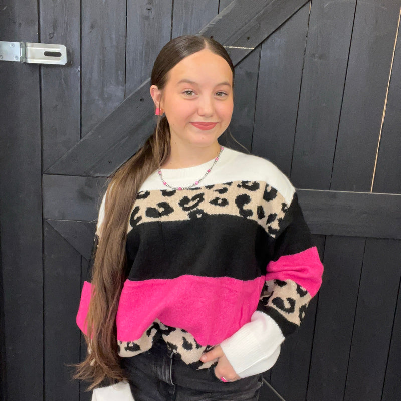 Super Soft Pink & Leopard Striped Sweater