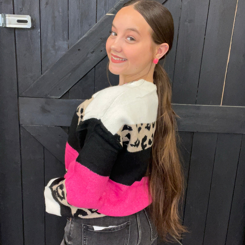 Super Soft Pink & Leopard Striped Sweater
