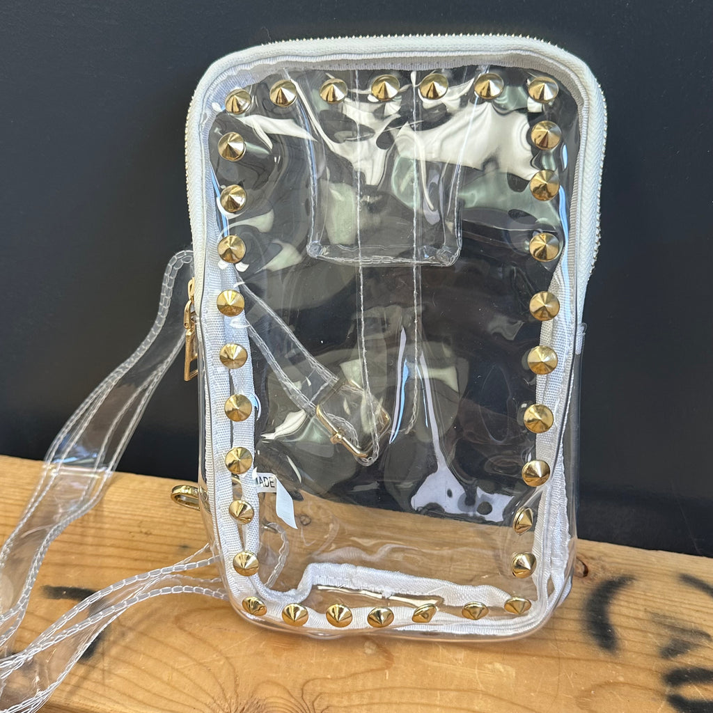 Clear PURSE with gold studs on a wooden surface