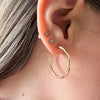  gold hoop earrings with small diamond studs.