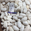 Inlay Purple Spiny Genuine Ring size 10.5