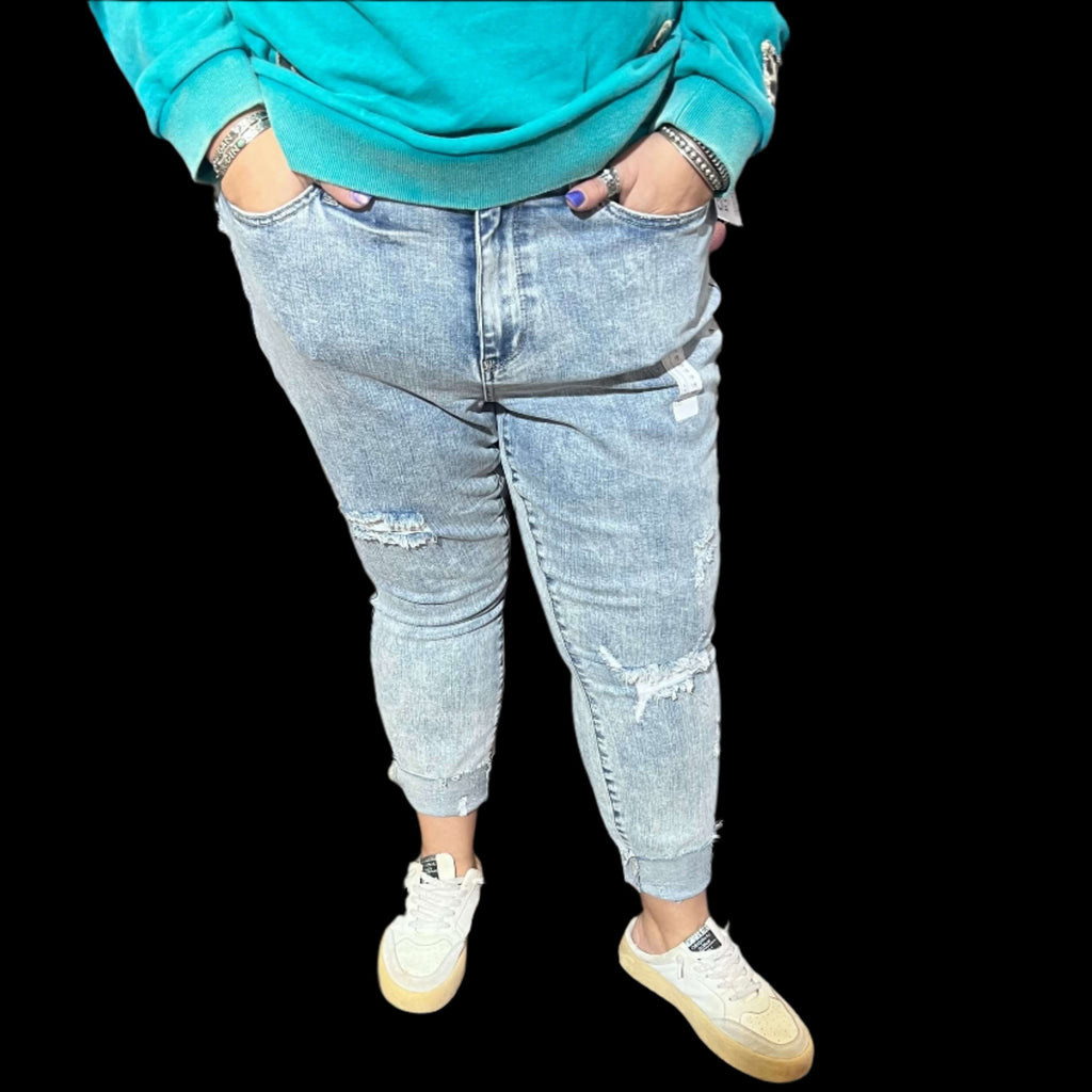 Light wash Judy Blue Skinny Jean