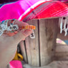 Orange Spiny Raised Inlay Genuine Ring / size 11