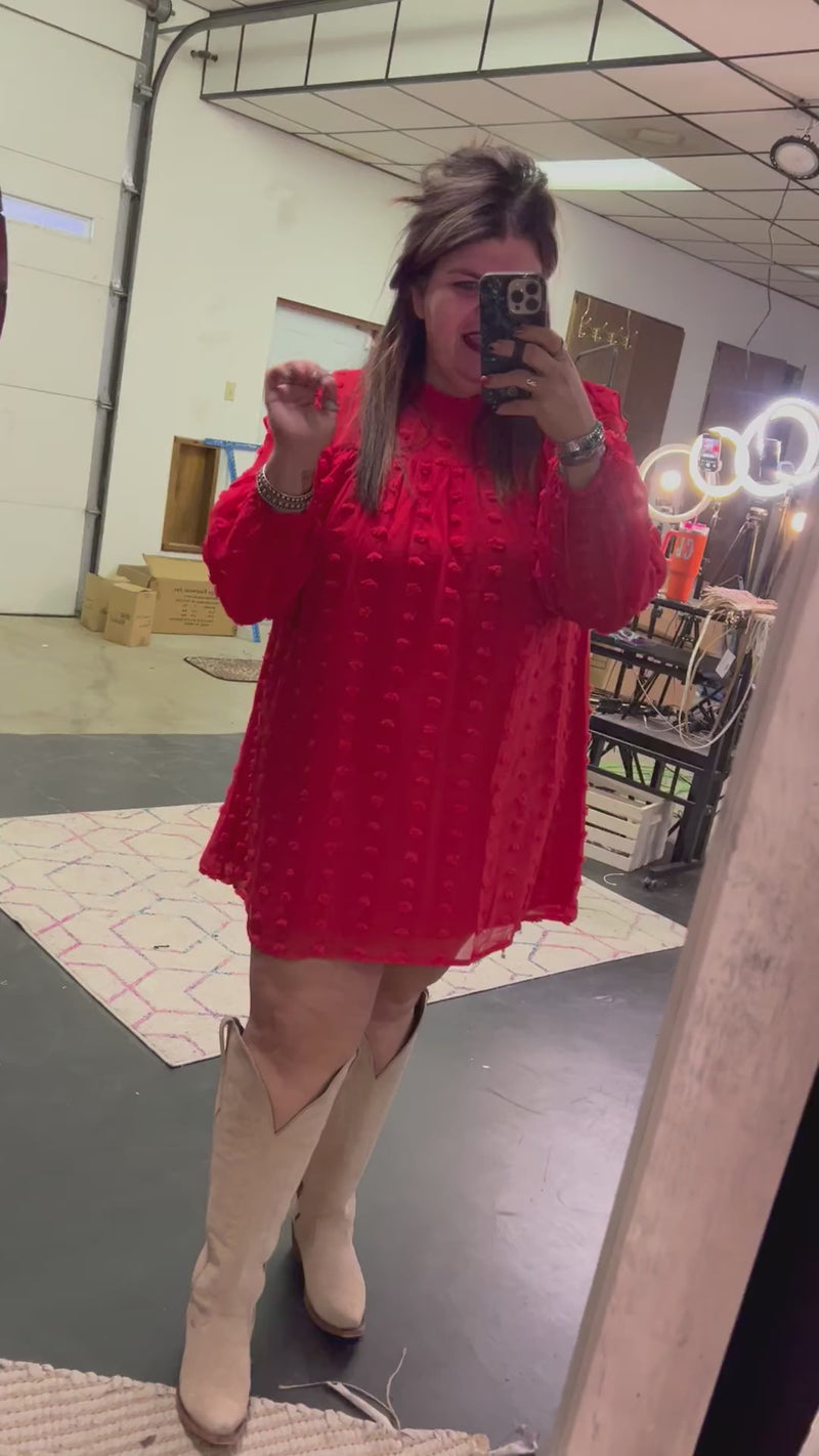 Red Swiss Dot long sleeve Dress / Medium