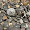 CONCHOBRACELET