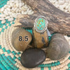 Turquoise Oval Stone Genuine Ring W/ Sterling Detail85